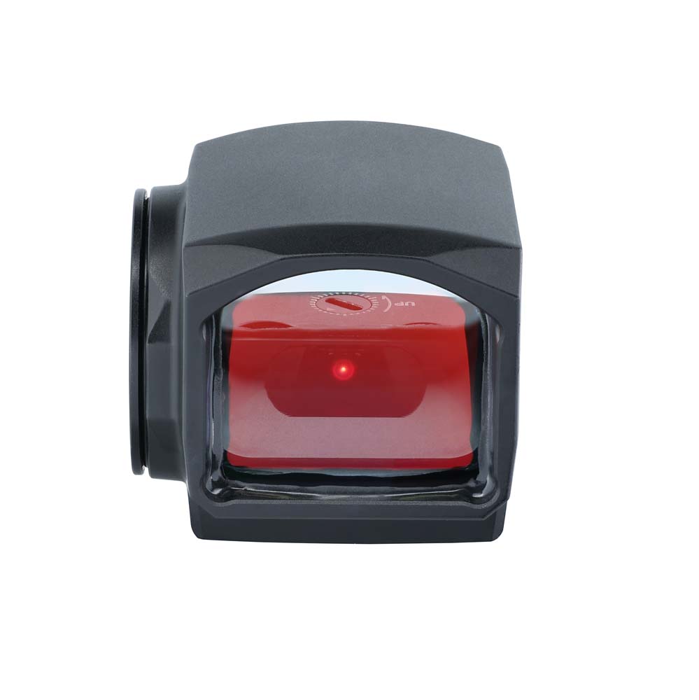 D4EL - Image 8